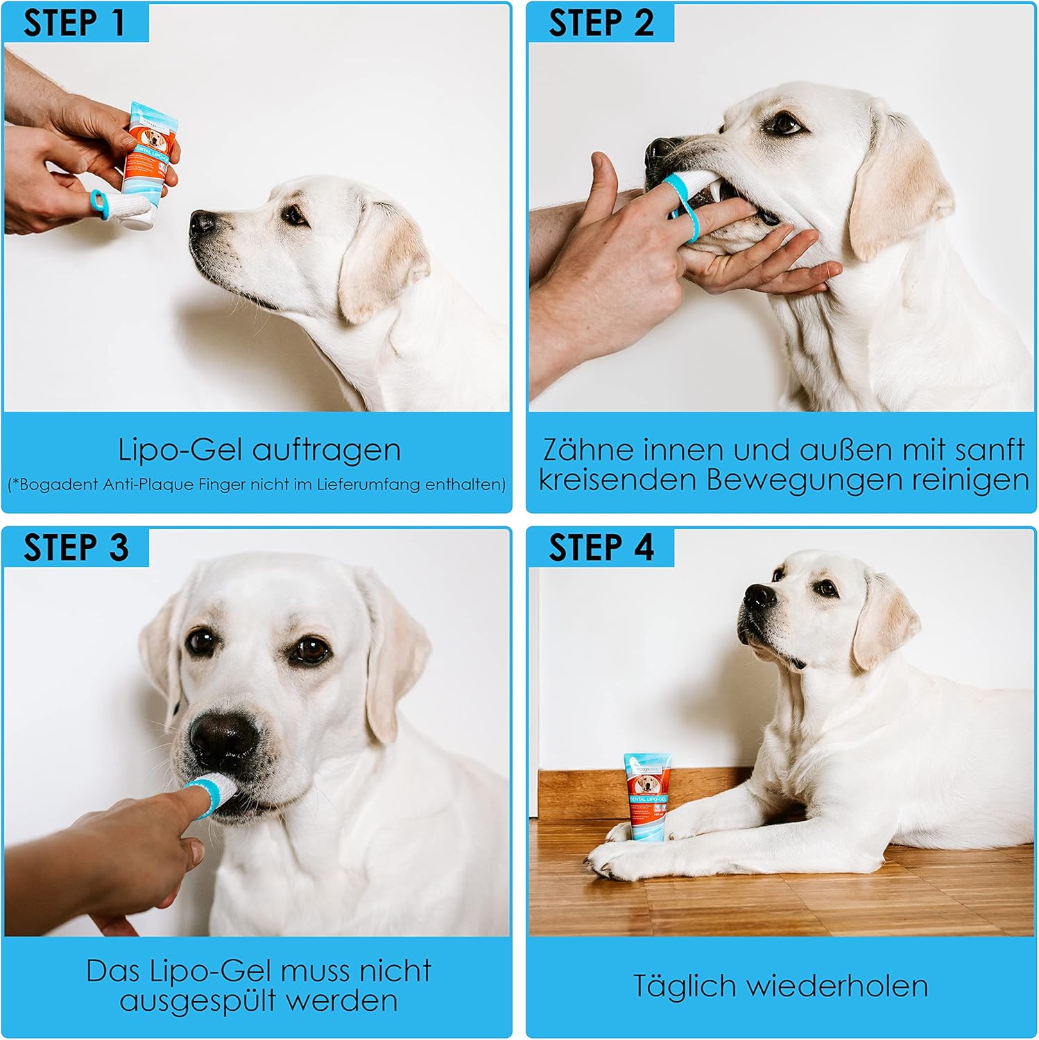 Bogadent Dental Lipo-Gel Hund 100ml