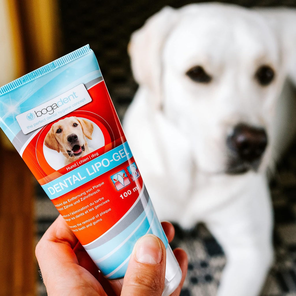 Bogadent Dental Lipo-Gel Hund 100ml