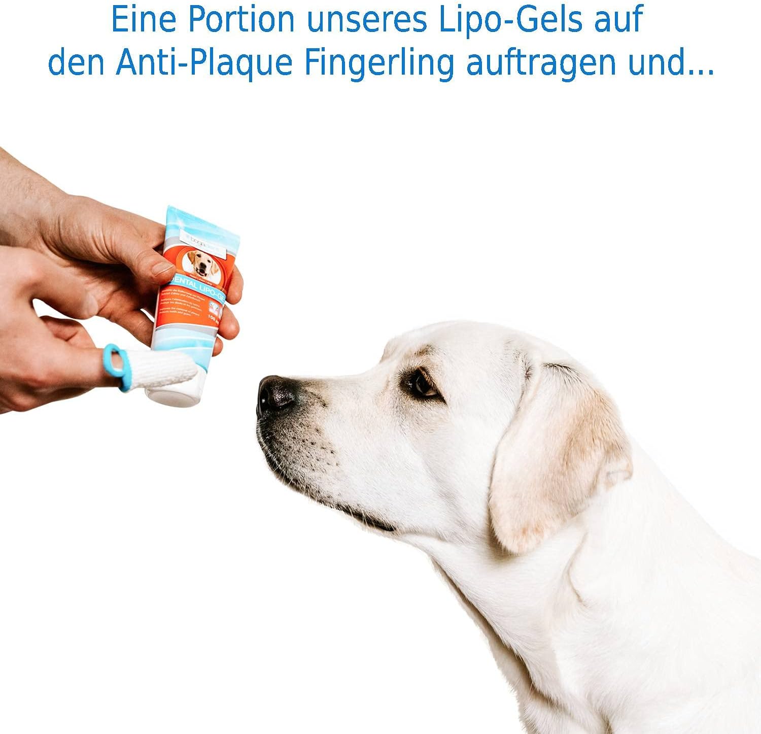 bogadent Anti-Plaque Fingerling Hund Adult 2 Stk