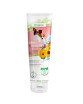 Bogacare Shampoo Small + Sensitive für Hunde