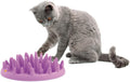 Catch Cat Feeder