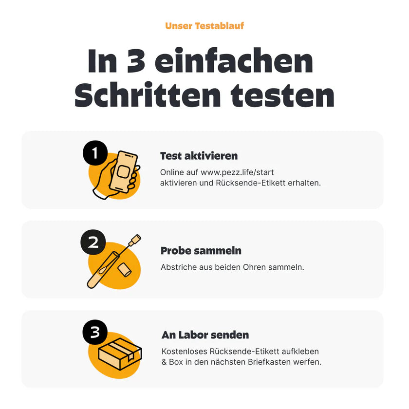 Durchfalltest Pezz