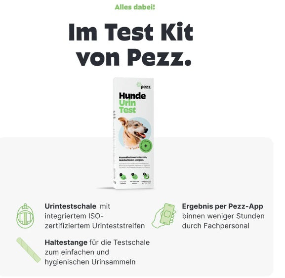 Urintest Kit für Hunde Pezz