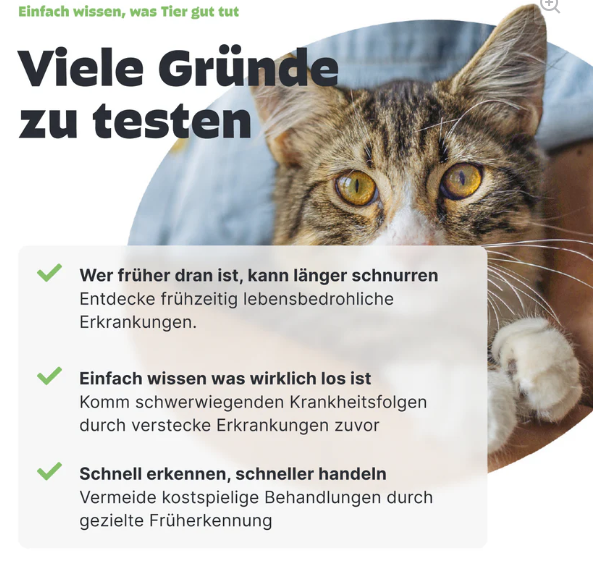 Urintest Kit für Katzen Pezz