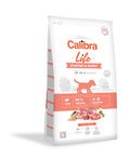 Can Starter Puppy Lamm 12kg