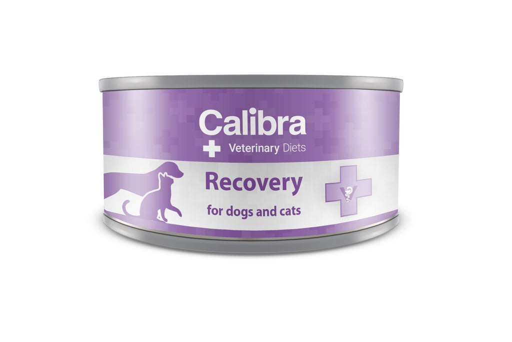 Canine/Feline Recovery