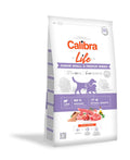 Can Junior Small/Med Lamm 12 kg