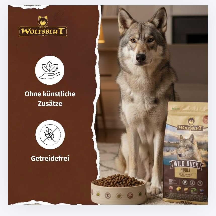 Can Adult Wild Duck - Ente mit Kartoffel