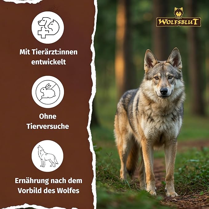 Can Adult Wild Duck - Ente mit Kartoffel