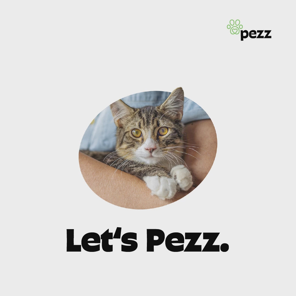 Urintest Kit für Katzen Pezz
