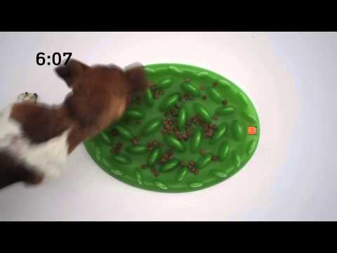 Green Slow Feeder